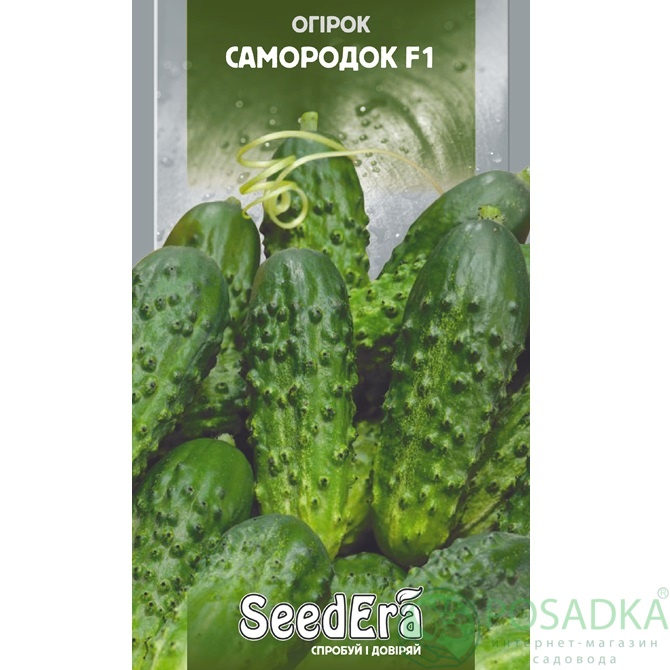 картинка Семена Огурец Самородок 0.5гр, SeedEra 