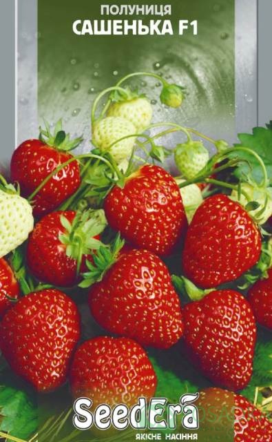 картинка Семена клубники Сашенька F1 (0.01гр) 
