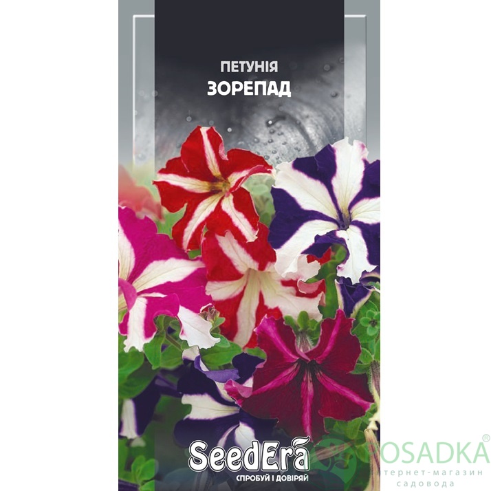 картинка Семена Петуния Пикоти Низкорослая Звездопад F1, 10шт, Seedera 