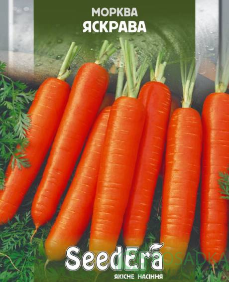 картинка Семена Морковь Яркая 2гр, SeedEra 