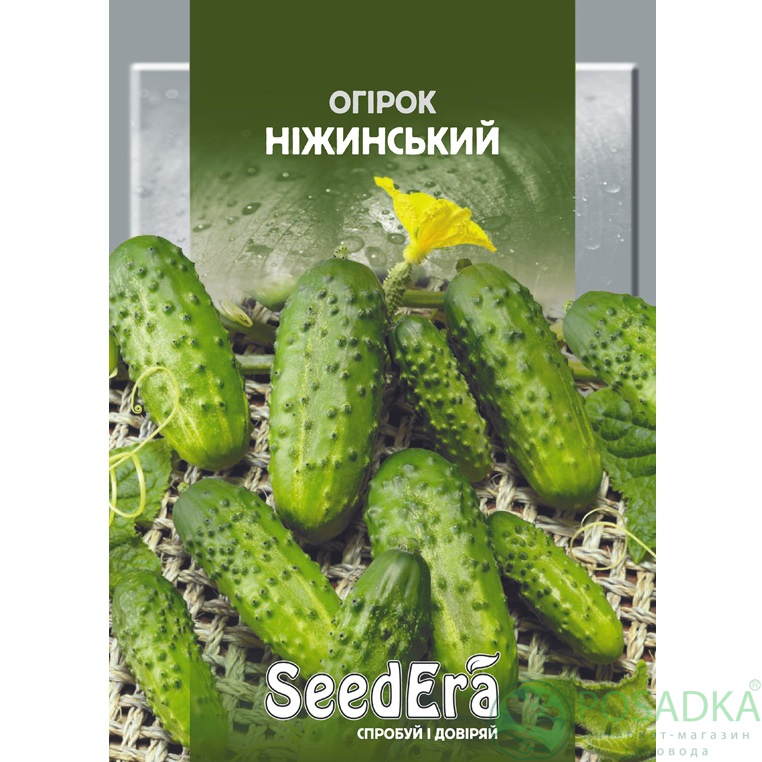 картинка Семена Огурец Нежинский 20 г, SeedEra 