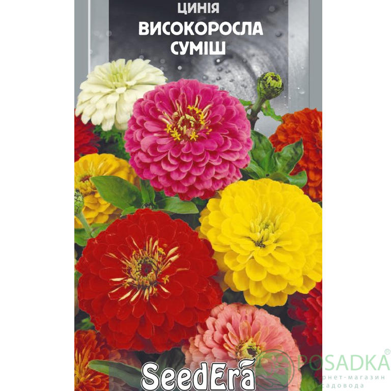 картинка Семена Циния Высокорослая смесь, 5 г, SeedEra 