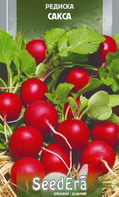картинка Семена Редис Сакса 2г, SeedEra 
