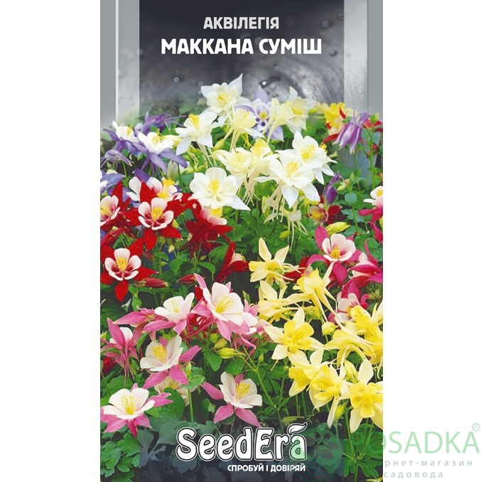 картинка Семена цветы Аквилегия МакКан Смесь многолетняя 0,1 г, Seedera 