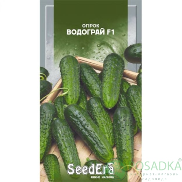 картинка Семена Огурец Воргебиргштраубе, 0,5 г Seedera 