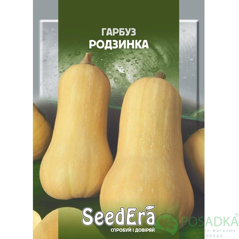 картинка Семена Тыква Изюминка 2 г, Seedera 