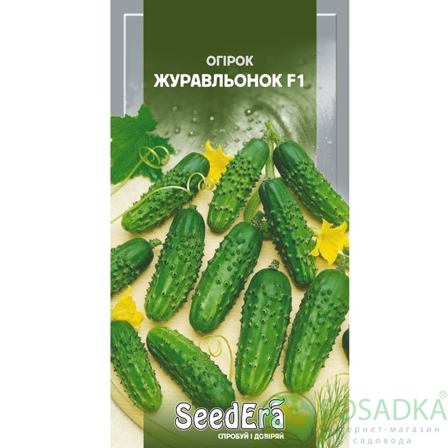 картинка Семена Огурец Журавленок F1 0,5 г, Seedera 
