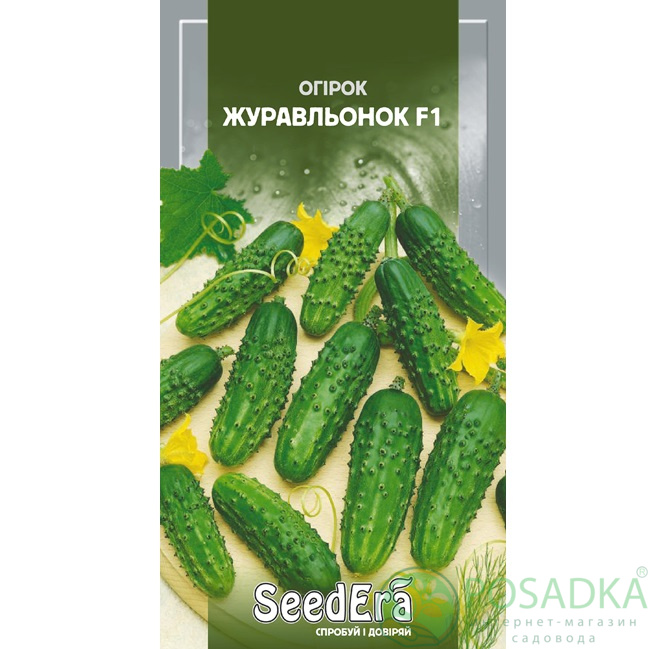 картинка Семена Огурец Журавленок F1 0,5 г, Seedera картинка Семена Огурец Журавленок F1 0,5 г, Seedera