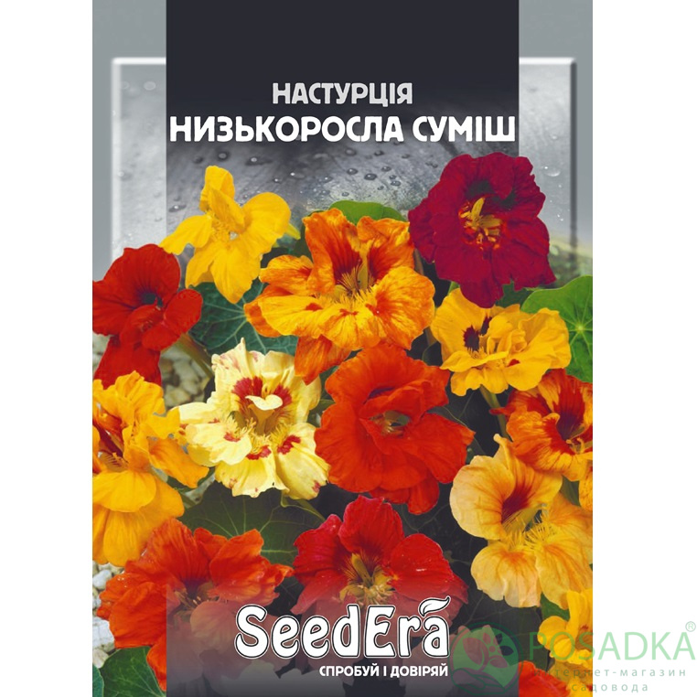 картинка Семена Настурция Культурная Низкорослая Смесь 10 г, Seedera 