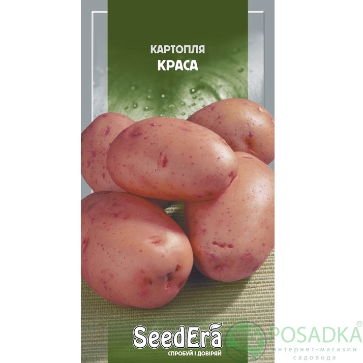 картинка Семена Картофель Красота 0,02 г, Seedera картинка Семена Картофель Красота 0,02 г, Seedera