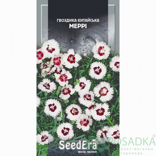 картинка Семена Гвоздика китайская Мерри 0,2 гр, Seedera картинка Семена Гвоздика китайская Мерри 0,2 гр, Seedera