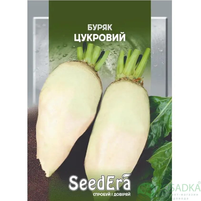 картинка Семена Свекла Столовая Сахарная 20 г, SeedEra 