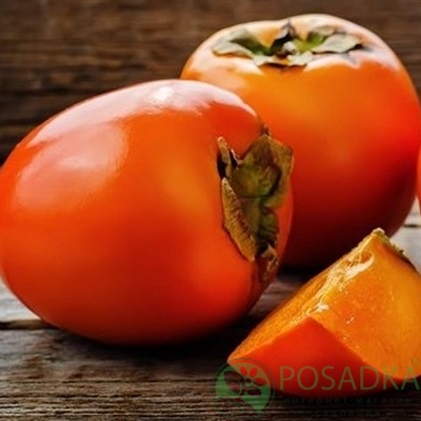 картинка Хурма Бычье сердце (крупноплодная, оригинальная) контейнер 