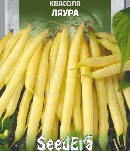 картинка Семена Фасоль Ляура, 20гр, SeedEra 