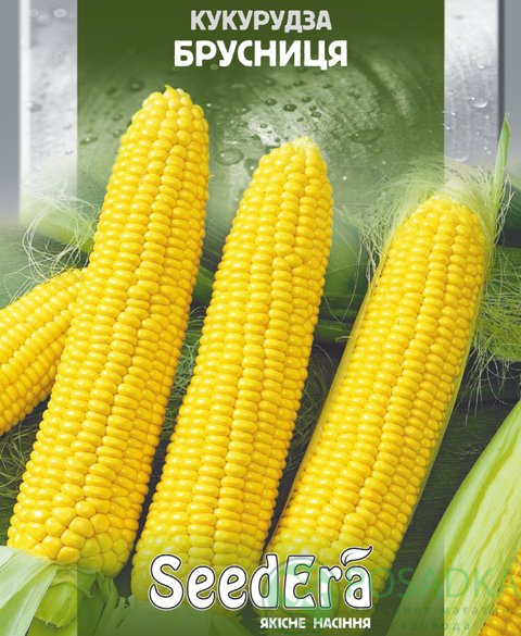 картинка Семена кукуруза Брусница 20 гр, SeedEra 