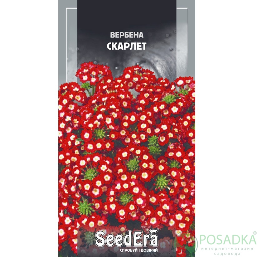 картинка Семена вербена Гибридная Скарлет 0,2г, SeedEra 