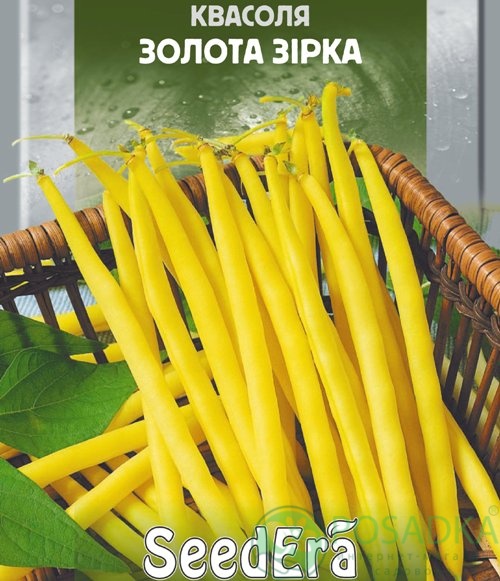 картинка Семена Фасоль Золотая Звезда, 20гр, SeedEra картинка Семена Фасоль Золотая Звезда, 20гр, SeedEra
