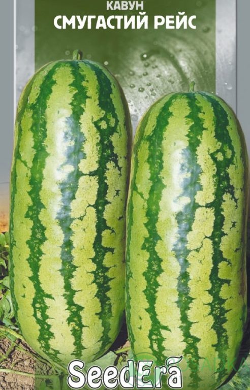 картинка Семена Арбуз Полосатый Рейс, 1гр, SeedEra 