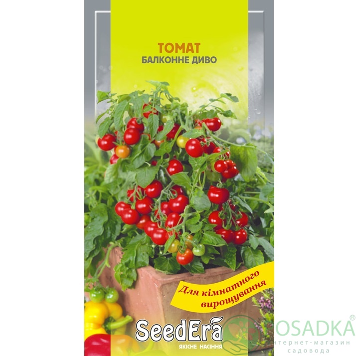 картинка Семена Томат Балконное Чудо 0,1 г, Seedera 