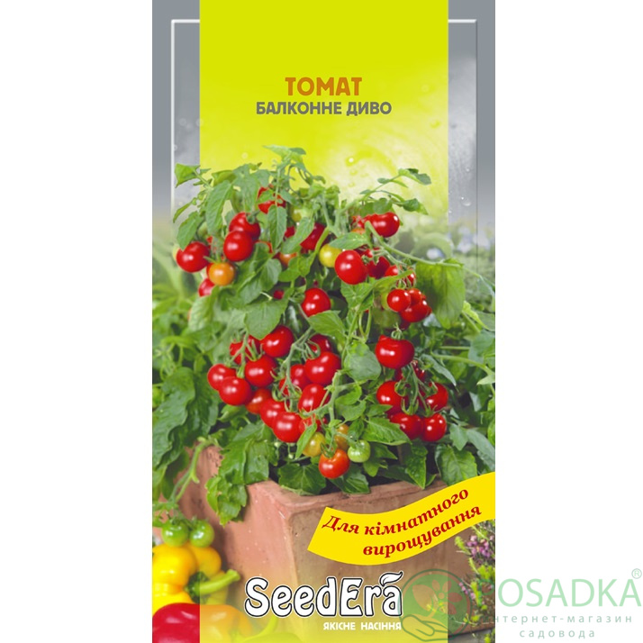 картинка Семена Томат Балконное Чудо 0,1 г, Seedera картинка Семена Томат Балконное Чудо 0,1 г, Seedera