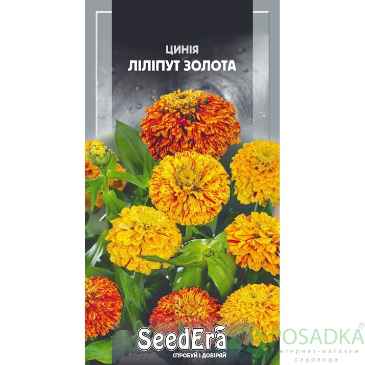 картинка Семена Циния Лилипут Золотая 0,5г, Seedera картинка Семена Циния Лилипут Золотая 0,5г, Seedera