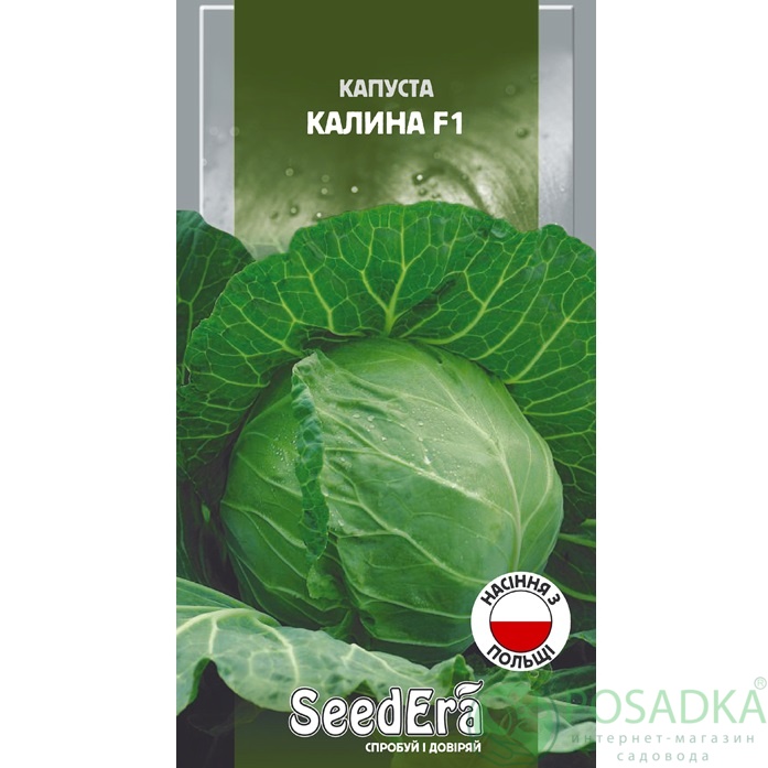 картинка Семена Капуста Белоголовая Калина F1, 0,25 г, Seedera картинка Семена Капуста Белоголовая Калина F1, 0,25 г, Seedera