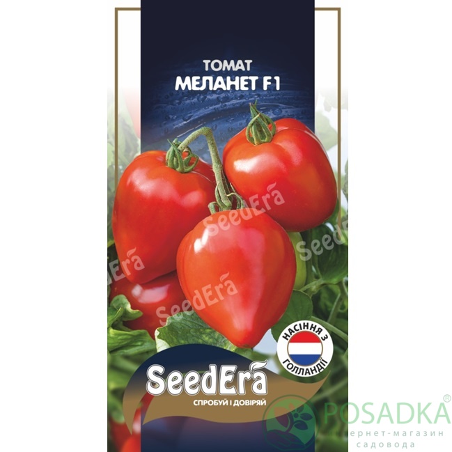 картинка Семена Томат Меланет F1, 10шт, Seedera Profi картинка Семена Томат Меланет F1, 10шт, Seedera Profi