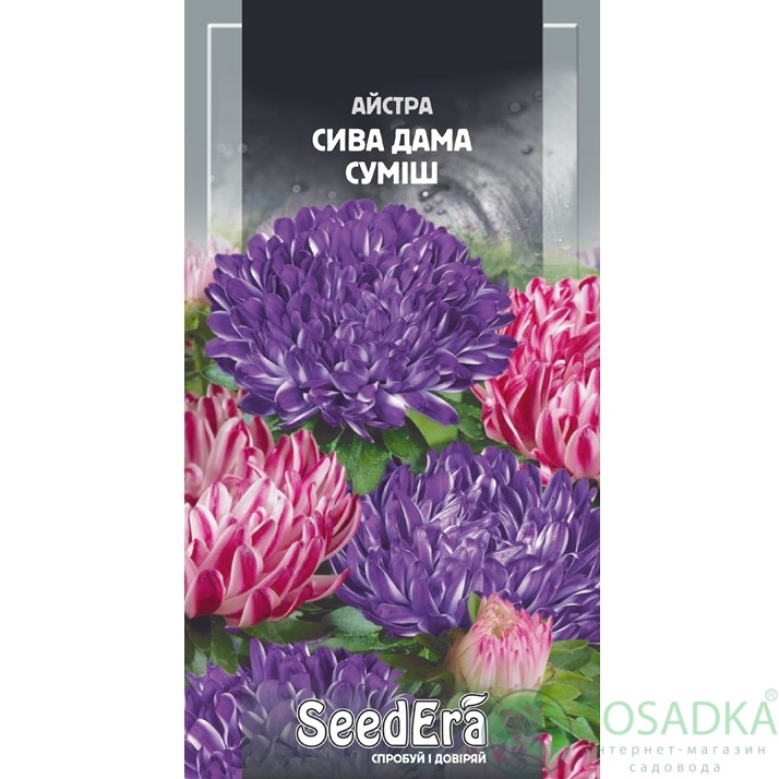 картинка Семена астра Пионовидна Седая Дама смесь 0,25г, SeedEra 