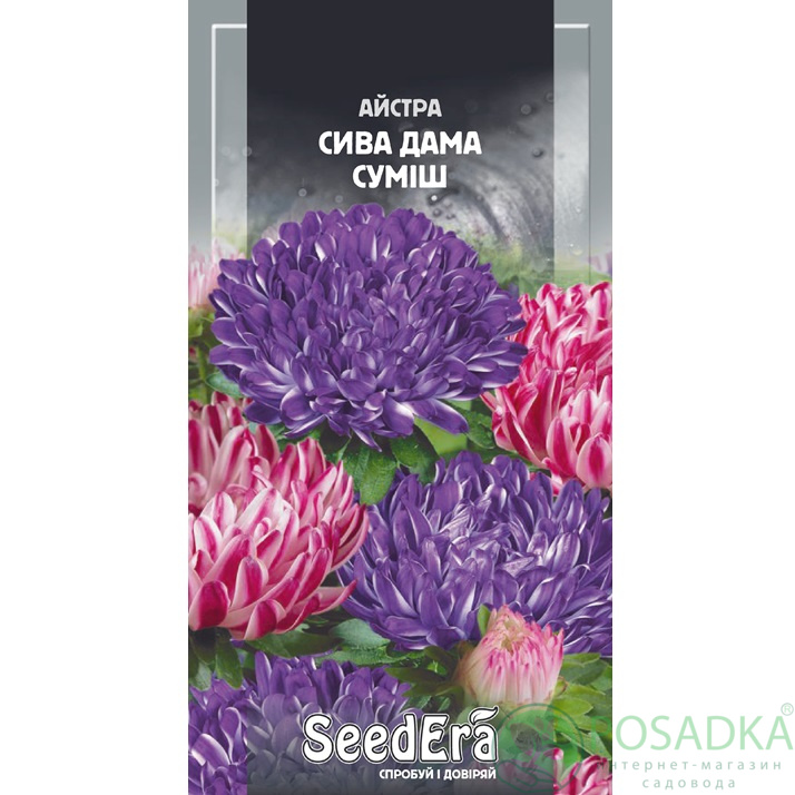 картинка Семена астра Пионовидна Седая Дама смесь 0,25г, SeedEra картинка Семена астра Пионовидна Седая Дама смесь 0,25г, SeedEra