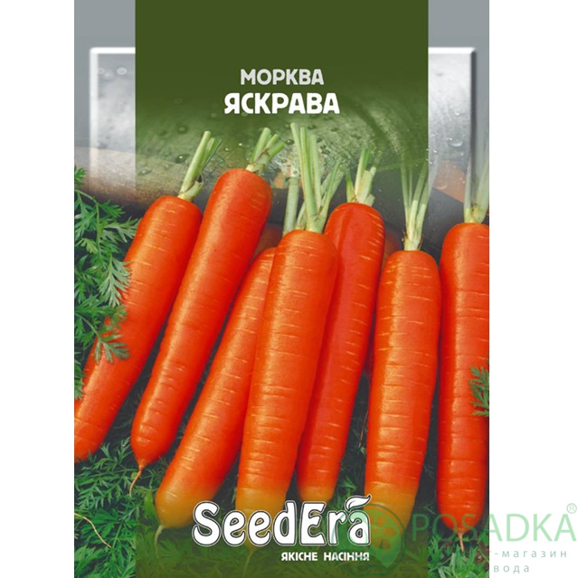 картинка Семена Морковь Столовая Яркая 2 г, Seedera 