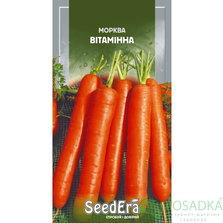 картинка Семена Морковь столовая Витаминная 6, 2 г, Seedera 