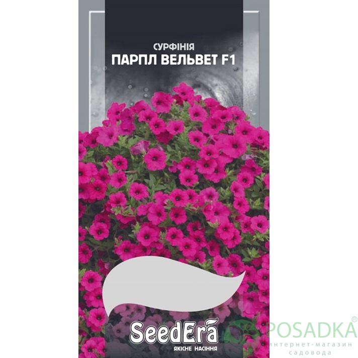 картинка Семена Петуния Ампельная сорт Парпл Вельвет F1, 10 шт, Seedera картинка Семена Петуния Ампельная сорт Парпл Вельвет F1, 10 шт, Seedera