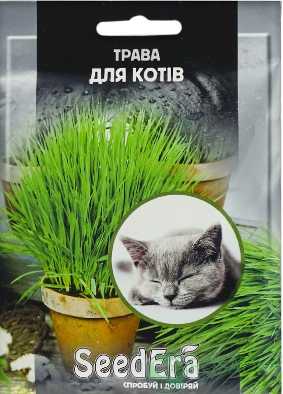 картинка Семена Трава для кошек, 30 шт, Seedera 
