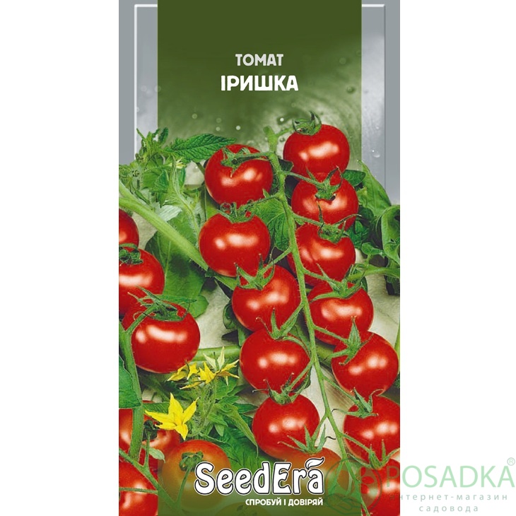 картинка Семена Томат Иришка 0,1 г Seedera 