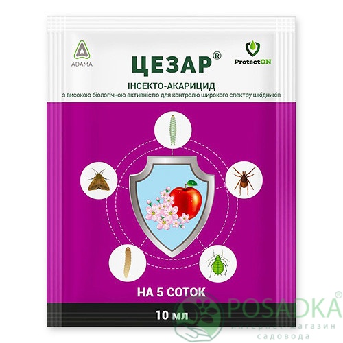 картинка Инсектицид Цезарь ProtectOn 10 мл 