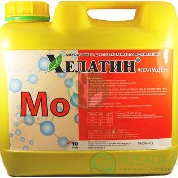 картинка Удобрение Хелатин Молібден 10 л 