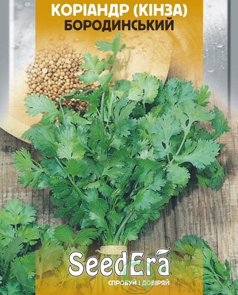 картинка Кориандр (кинза) Бородинский семена (3гр) картинка Кориандр (кинза) Бородинский семена (3гр)