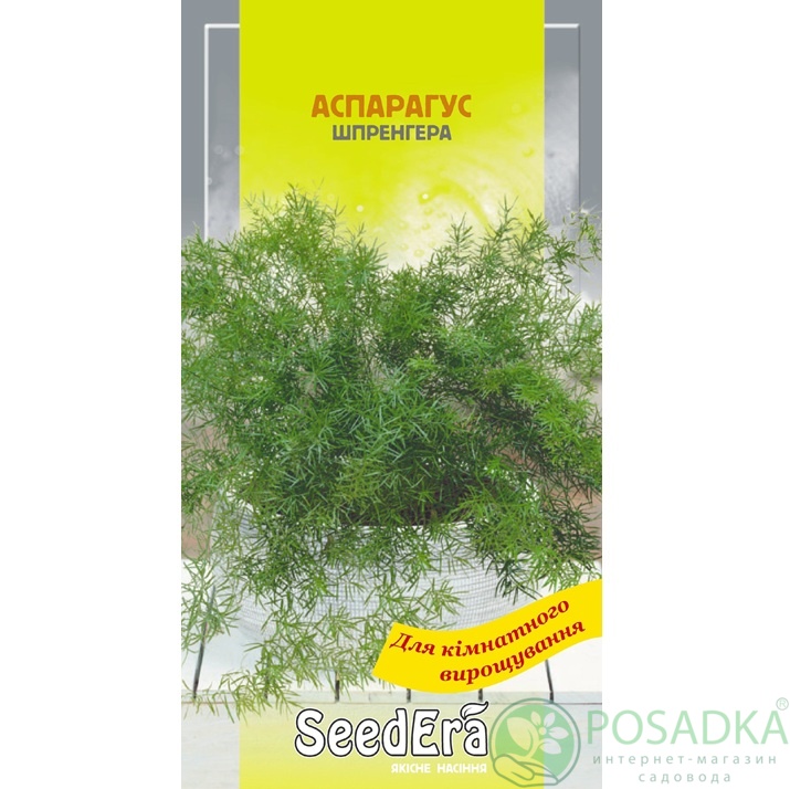 картинка Семена Аспарагус декоративный Шпренгера 0,1 г, Seedera 