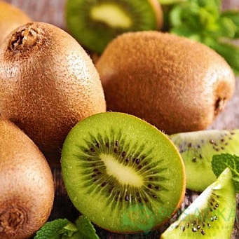 картинка Киви Колхидский (самоплодный,морозостойкий) 