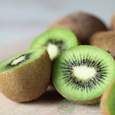 картинка Киви Крамер (урожайный, крупноплодный) 