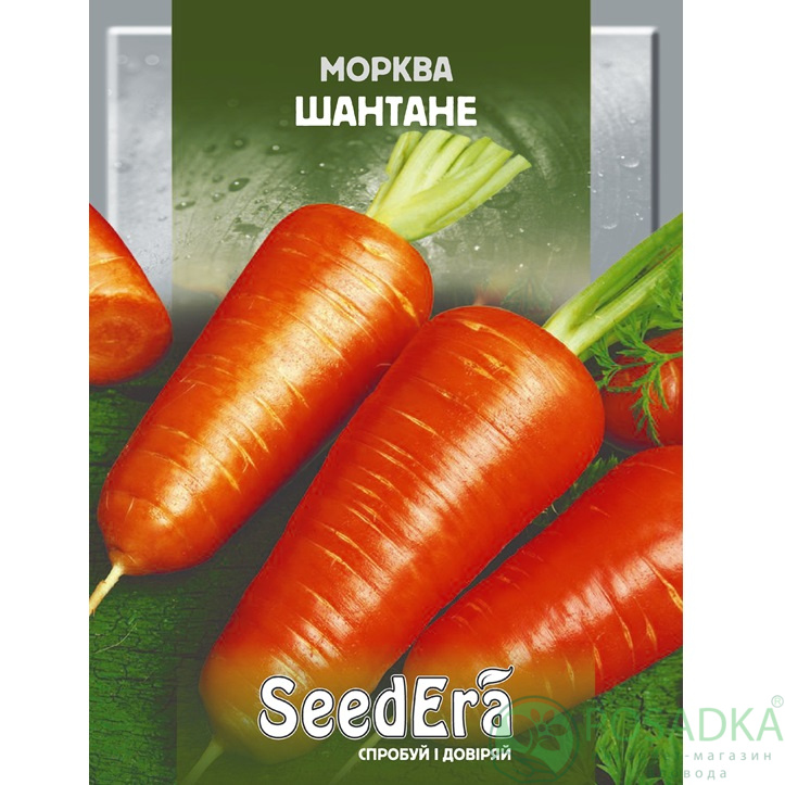 картинка Семена Морковь Шантане 2 г, SeedEra 