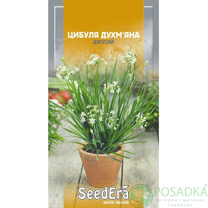 картинка Семена Лук душистый Джусай 0,5 г, Seedera 