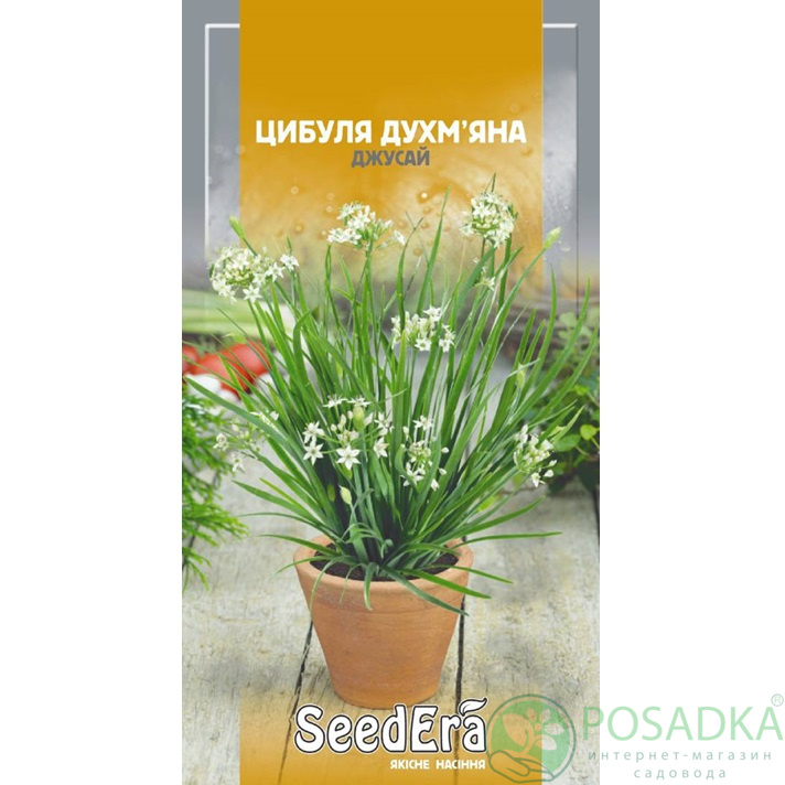 картинка Семена Лук душистый Джусай 0,5 г, Seedera 