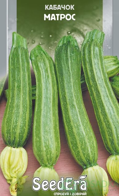 картинка Семена кабачок Матрос цуккини 2 г, SeedEra 