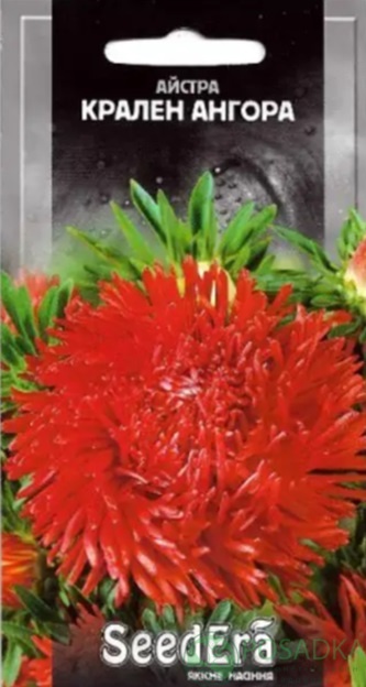 картинка Астра высокорослая Крален Ангора 0,25 г, Seedera 