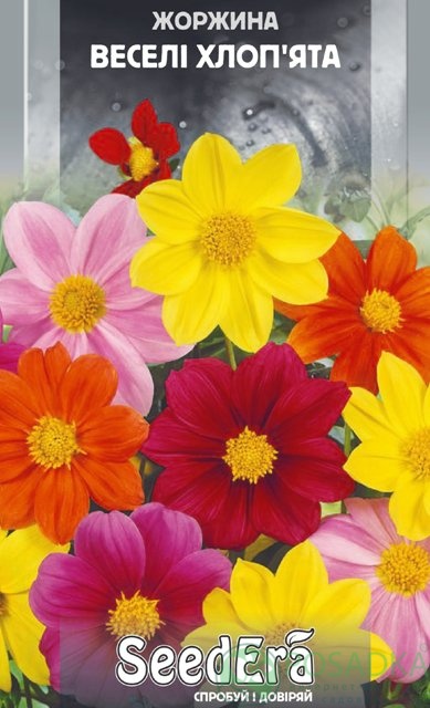 картинка Георгина Переменная Веселые Ребята смесь 0.5 г, SeedEra 