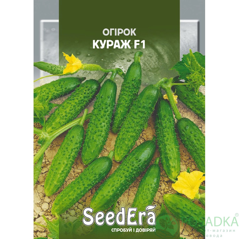 картинка Семена огурец Кураж F1, 100 шт, SeedEra 