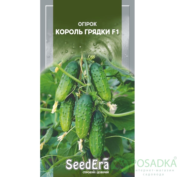картинка Семена Огурец Король Грядки F1, 10шт, Seedera 