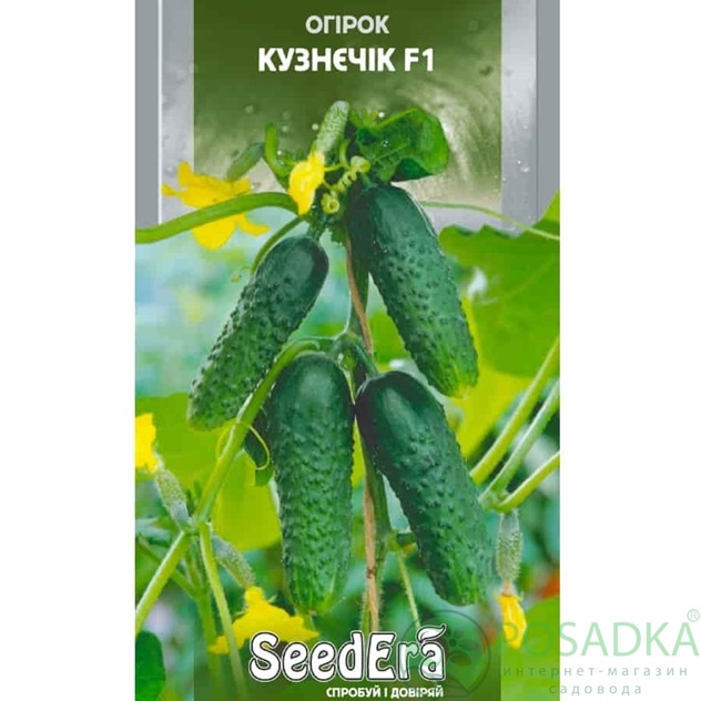 картинка Семена Огурец Кузнечик F1, 10 шт, Seedera картинка Семена Огурец Кузнечик F1, 10 шт, Seedera