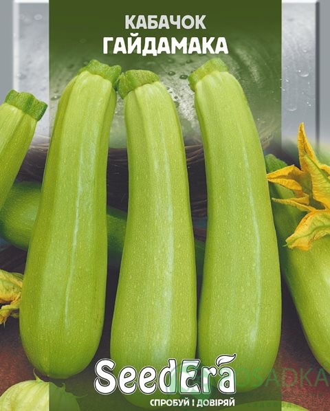 картинка Семена кабачок Гайдамака 3 г, SeedEra 